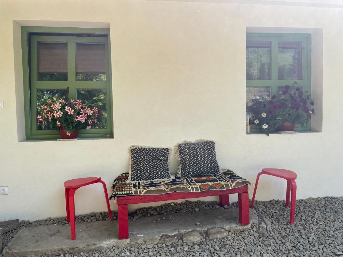 Dom Pod Matyska Villa Radziechowy Eksteriør bilde